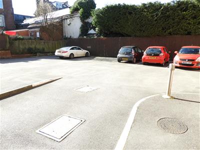 Picture 12
